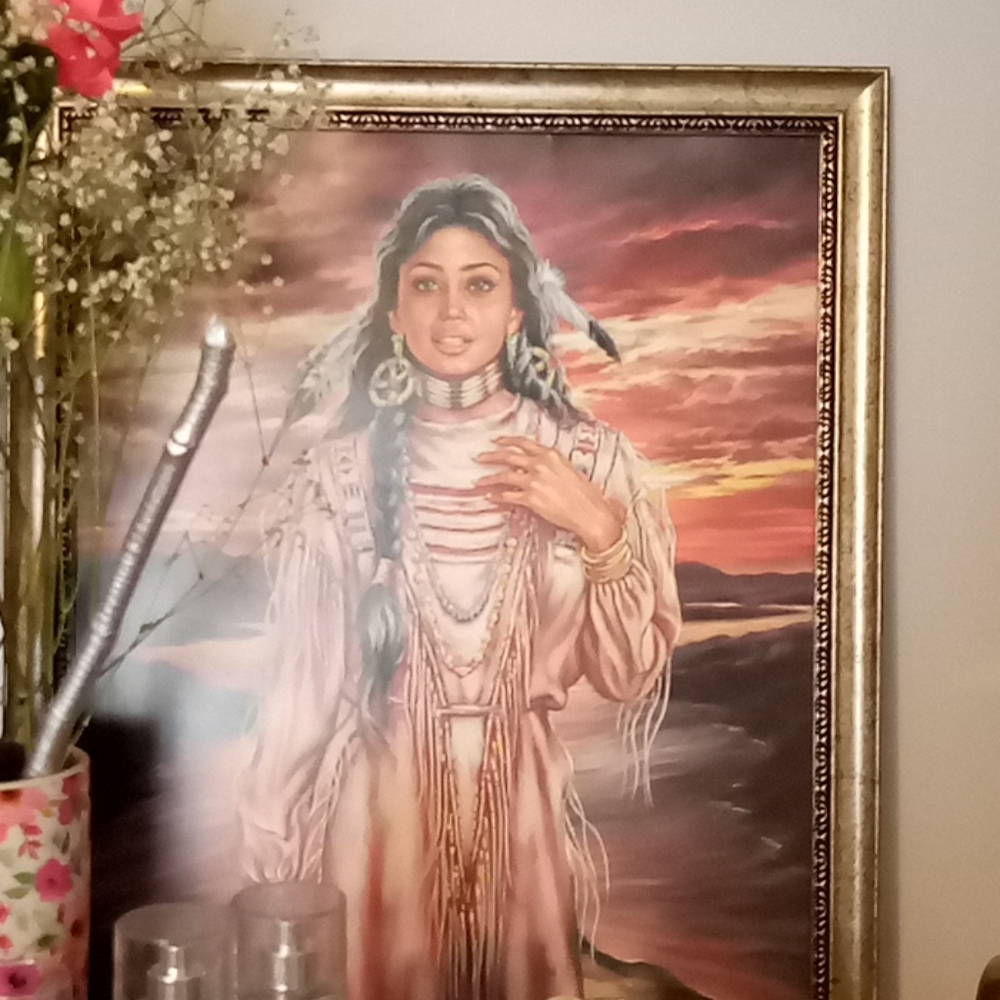 BRONZE COLORED FRAMED ART NATIVE AMERICAN MAIDEN